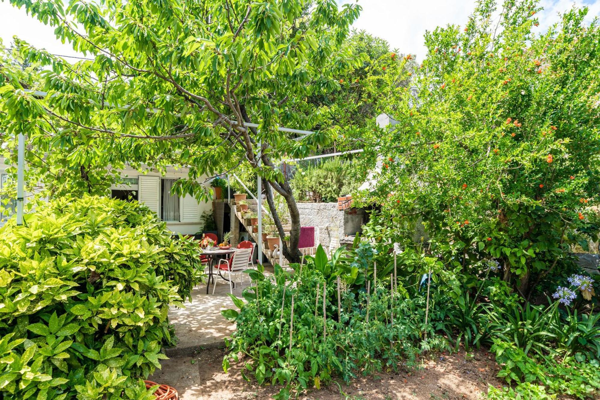 Apartments Zarac Dubrovnik Zimmer foto